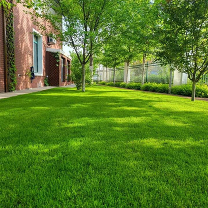 🌱 Stop Waiting Months for a Lawn！ Grow Lush Grass in Just 7 Days🔜Hydro Seeding Lawn Solution🚫 —Create Your Perfect Lawn, Starting Here!